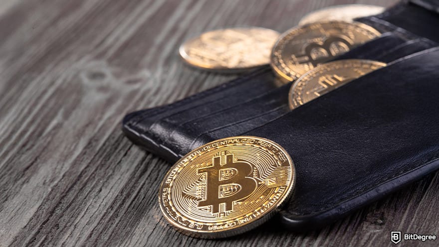 Best cryptocurrency wallet: Bitcoins in a wallet. Best cryptocurrency wallet: Bitcoins in a wallet.