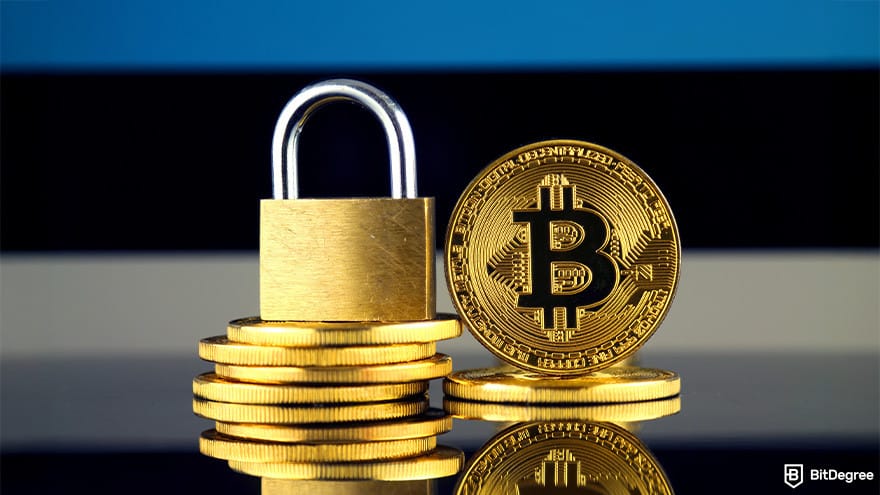 Best cryptocurrency wallet: lock and Bitcoin coins. Best cryptocurrency wallet: lock and Bitcoin coins.