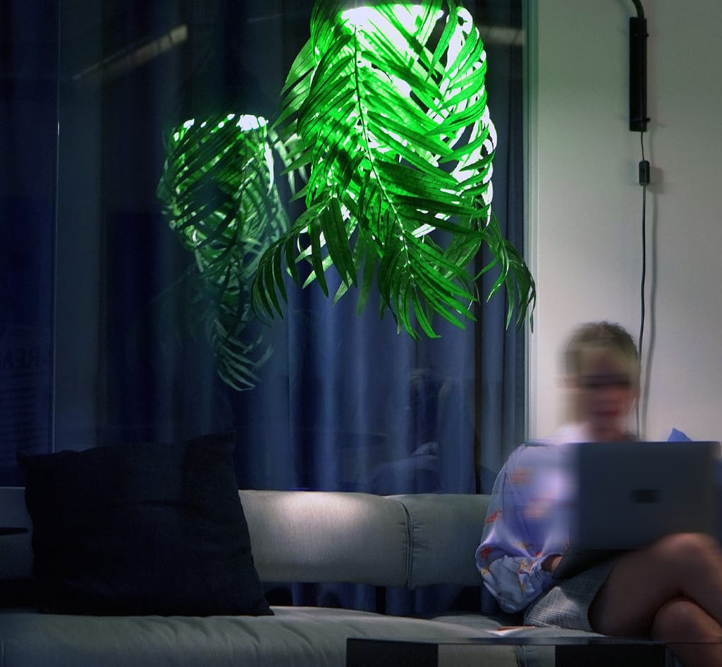 BitDegree at Workation