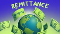 Remittance Explained: Will This Newcomer Change the Game? (ANIMATED)